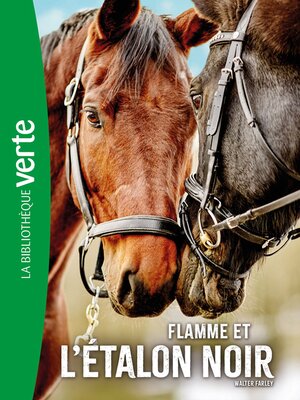 cover image of Flamme et l'Etalon noir